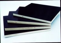 Sell black film faced plywood