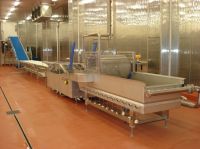 Sell Used Holand NON Quick-freeze Strawberry Production Line