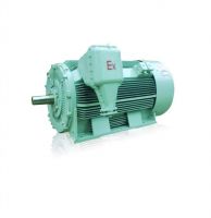 Sell YB/YB2 Series High Voltage Three-phase explosion-proof induction Motor