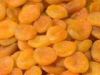 Sell Dried Apricot