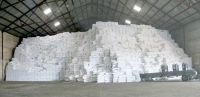 Brazil Sugar for sale