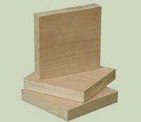 maple plywood