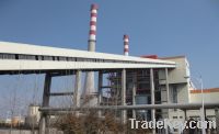 Sell Final Conveyor---thermal power plant