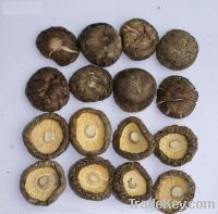 Sell dried shiitake