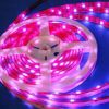 Sell 5m 150 Leds waterproof 5050 SMD pink LED strip light