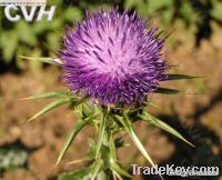 Sell Milk thistle extract