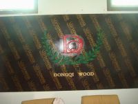 Sell black and brown  film faced plywood