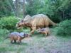 Sell Artificial Dinosaur 56-Triceratops Family