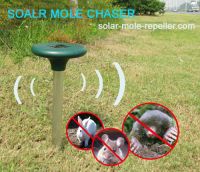 Solar mole chaser