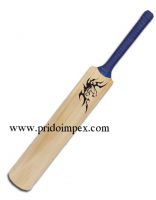 cricket bat