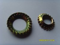 Sell serrated lock washer