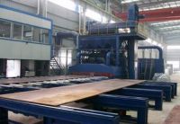 Sell  Roller conveyor type shot blasting machine