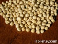 Blanched/Roasted hazelnut kernels