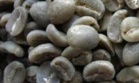 Sell coffee beans, green coffee beans, arabic coffee beans