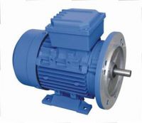 Sell three phase electric motor(MS series)