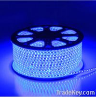 Sell 220v Flex LED light strip, 60LEDs/m, 1$/m, white, r, g, b, y color