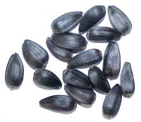 Sunflower seeds