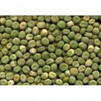 We sell Green pea