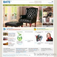 online wholsale furniture website design and development