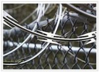 Sell hot-dip galvanized barbed wire