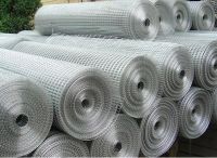 Sell Welded Wire Mesh(best)