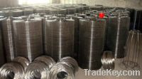 Sell galvanized welded wire mesh(factory)