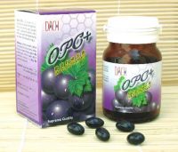 Grape Seed Extract Plus