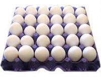 40\'Ft HC Reefer Container 1312 boxes each box 360 eggs