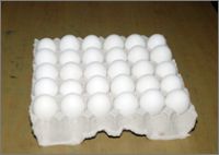 Ready to Export White Shell Table Eggs