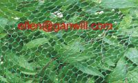 Sell Bird Protection Net