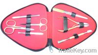 Z&B Manicure Set