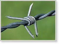 Sell Barbed Iron Wire