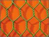 Sell Hexagonal Wire Netting