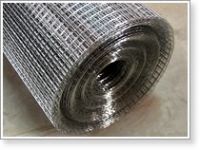 Sell Weld iron Wire Mesh