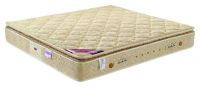Sell bed mattess FB780