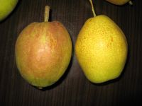 Sell red fragrant su pear