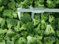 Export Frozen Broccoli