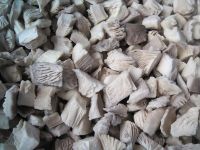 Sell Frozen Oyster Mushroom