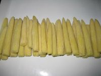 Sell Frozen Baby Corn