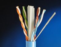 UTP Cat6 Network Cable