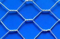 hexagonal wire mesh