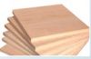 Sell Plywood(Film Face Plywood, Commercial Plywood, LVL)