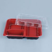 Disposable Bento Box