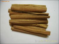 Sell Top Quality Cinnamon Bark Extract Powder