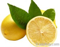 Sell Lemon Bioflavonid