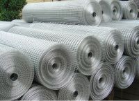 Sell Electric Galvanized Welded Wire Mesh