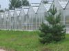 Polycarbonate Sheets for Greenhouse