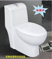 Sell  one piece toilet with dual flush fitting
