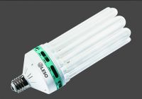 8U compact fluorescent lamps