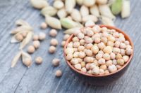 SUPPLIER CHICKPEAS